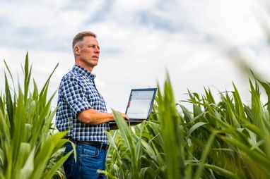 Imagen del curso Anticipo Ingresos